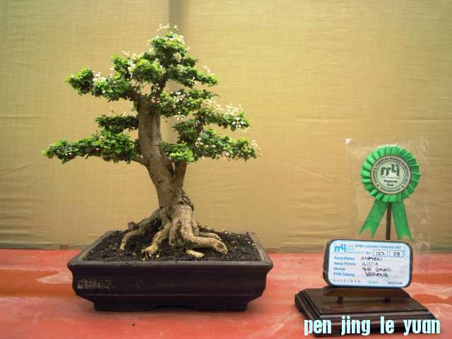 DSCN0296.jpg