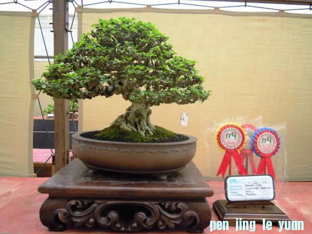 DSCN0297.jpg