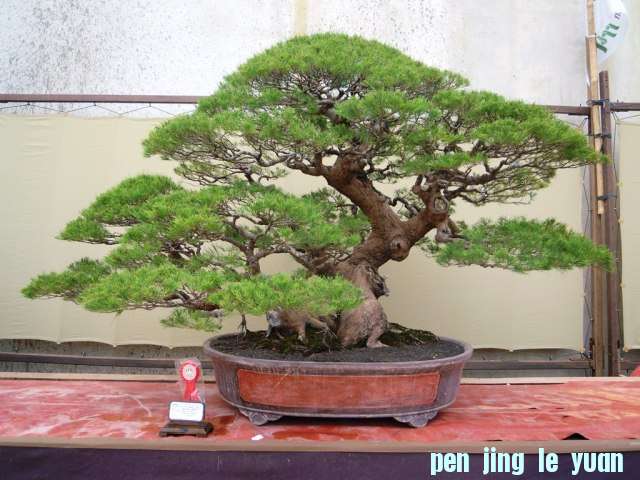 DSCN0298.jpg
