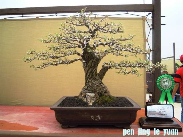 DSCN0299.jpg