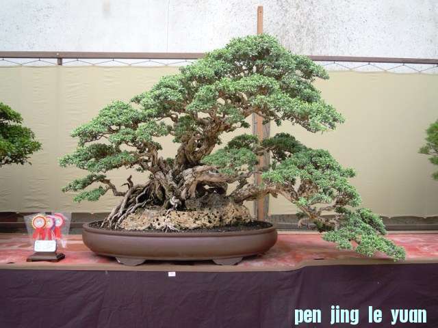 DSCN0300.jpg