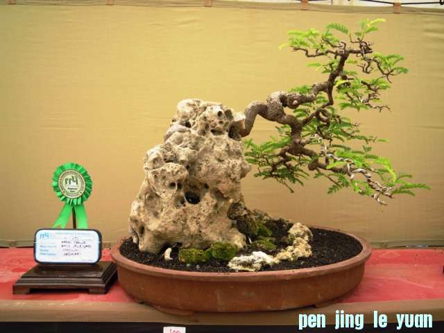 DSCN0303.jpg