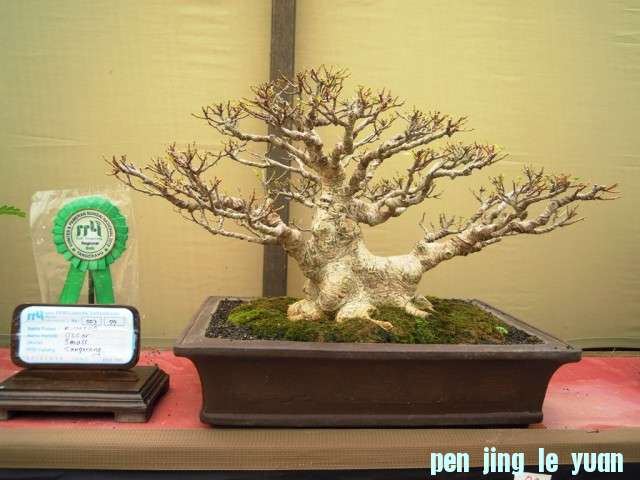 DSCN0304.jpg