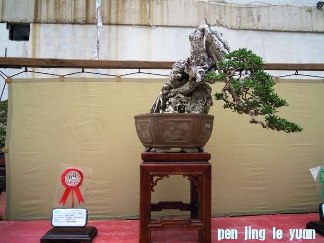 DSCN0305.jpg