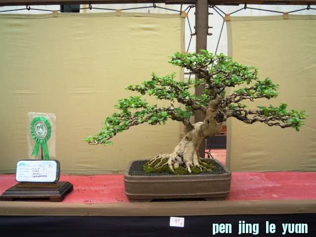 DSCN0306.jpg