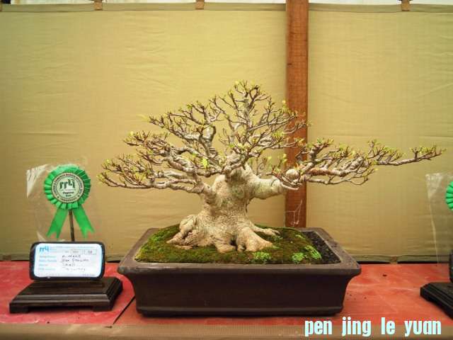 DSCN0307.jpg