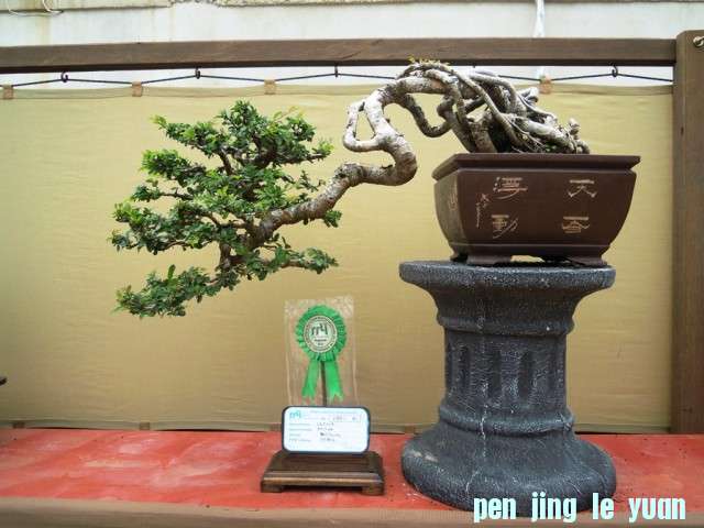 DSCN0308.jpg