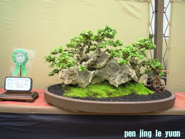 DSCN0309.jpg