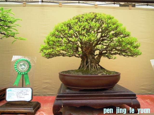 DSCN0310.jpg