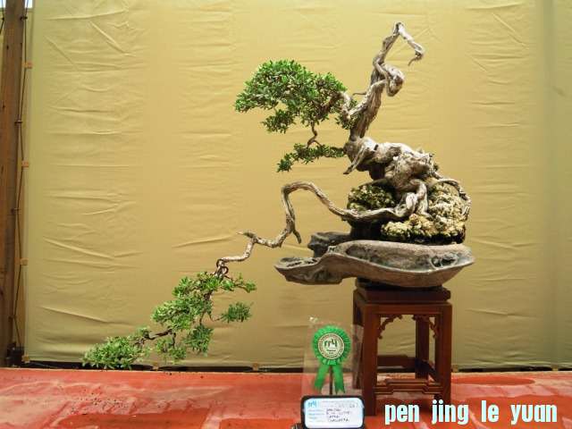 DSCN0311.jpg