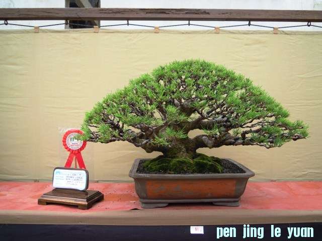 DSCN0312.jpg
