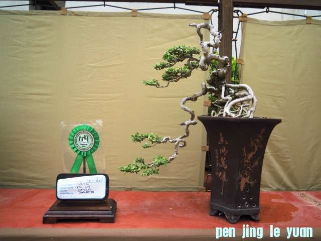 DSCN0313.jpg