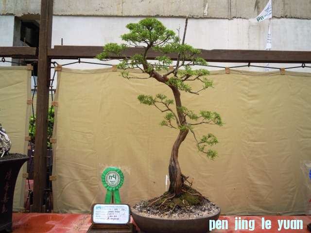 DSCN0314.jpg