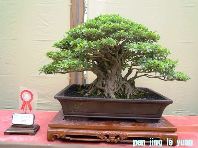 DSCN0317.jpg