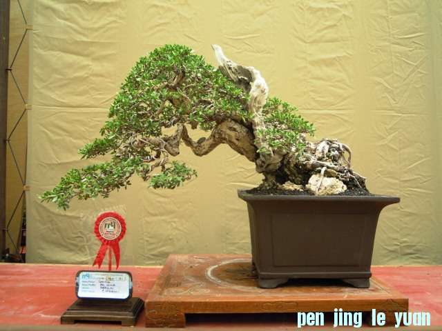 DSCN0318.jpg