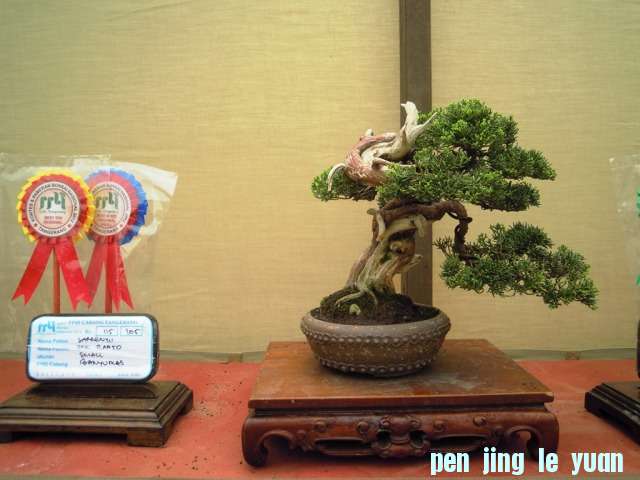 DSCN0319.jpg