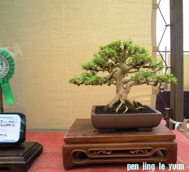 DSCN0320.jpg