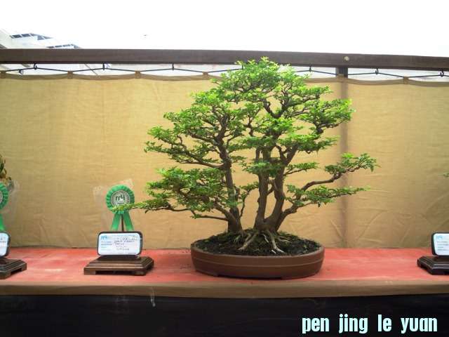 DSCN0283.jpg