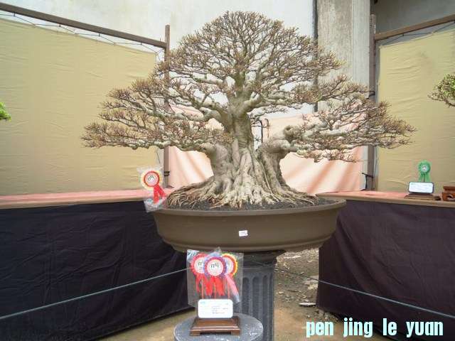 DSCN0285.jpg