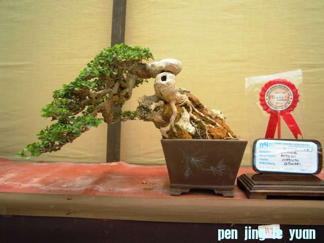 DSCN0326.jpg