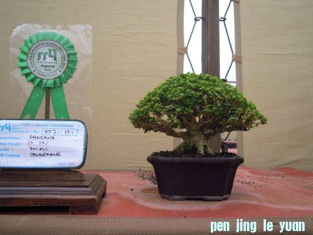 DSCN0327.jpg