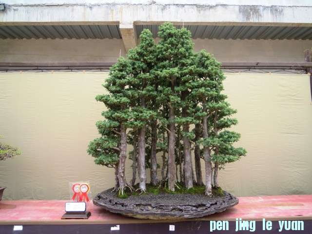 DSCN0335.jpg