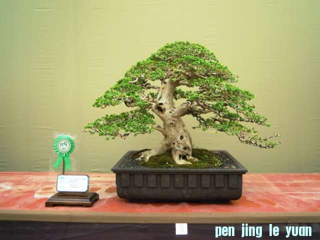 DSCN0337.jpg