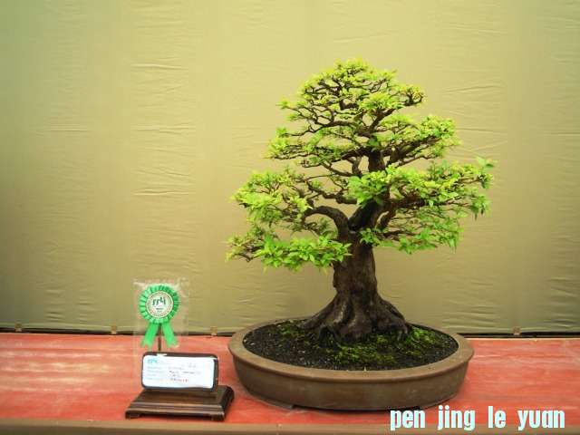 DSCN0343.jpg