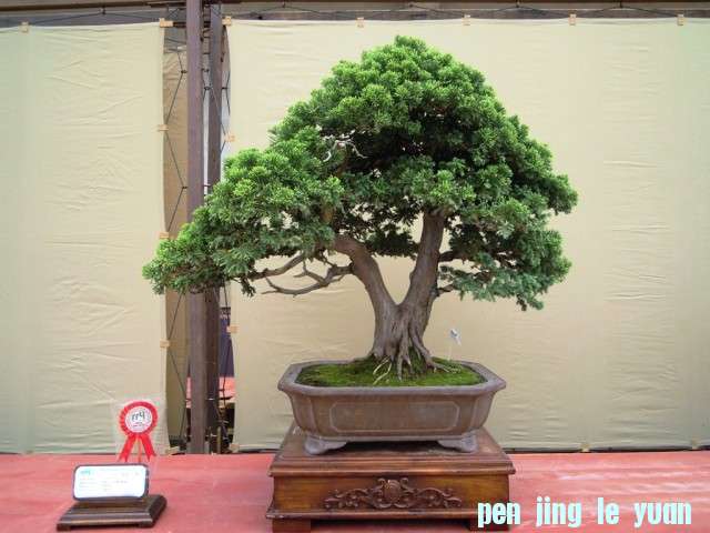 DSCN0345.jpg