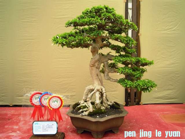 DSCN0352.jpg