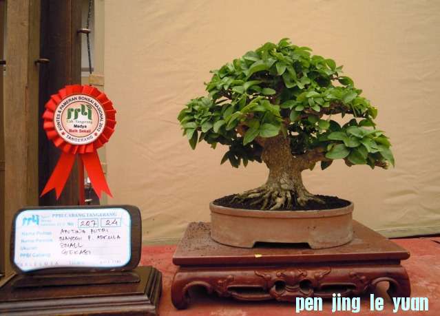 DSCN0391.jpg