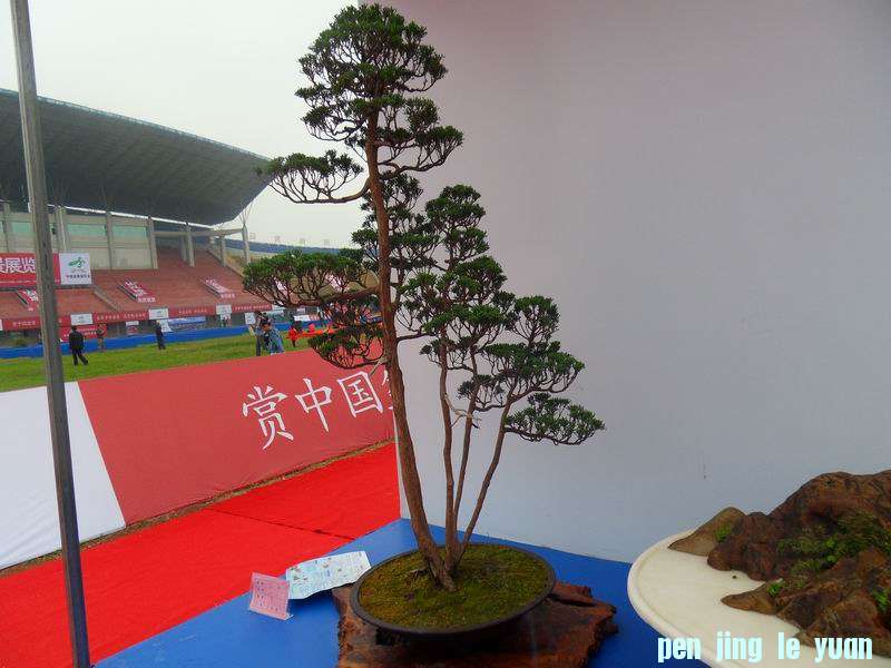 SDC19067.JPG