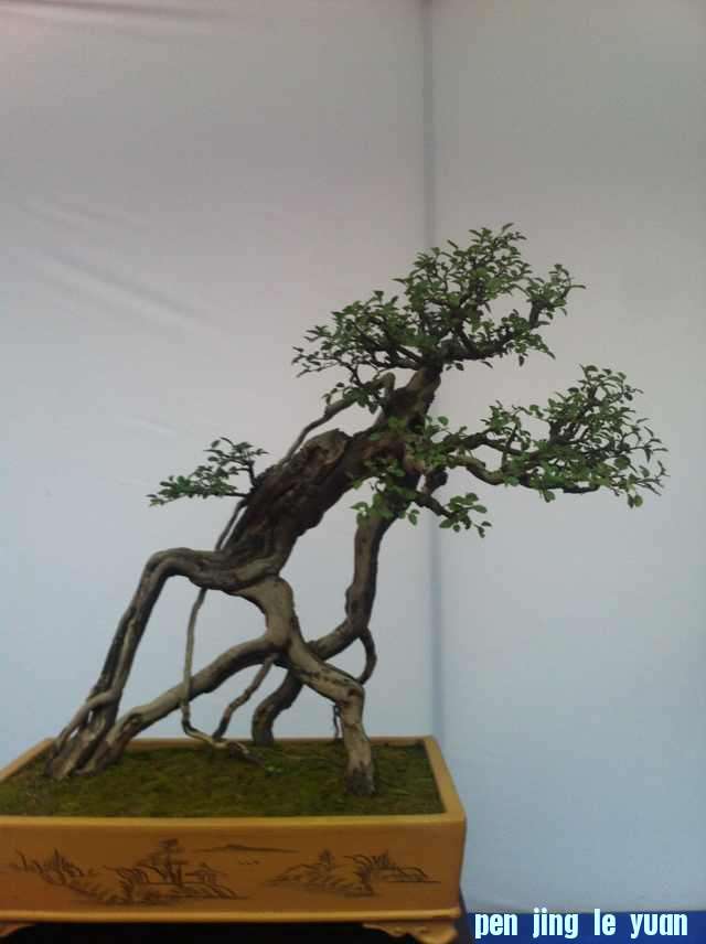 mmexport1350825553377.jpg