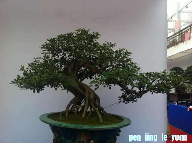 mmexport1350825564170.jpg