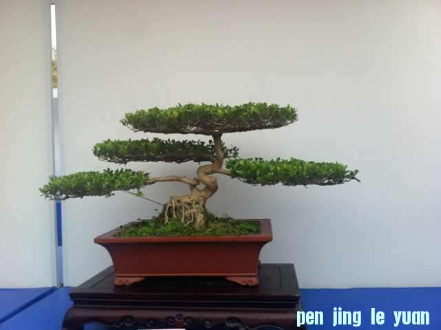 mmexport1350825611309.jpg