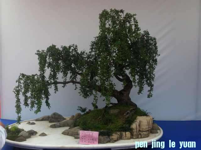 mmexport1350825714565.jpg