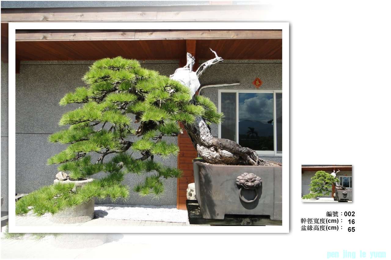 1uWURGc8xlVvQsKlV1lZeQ.jpg