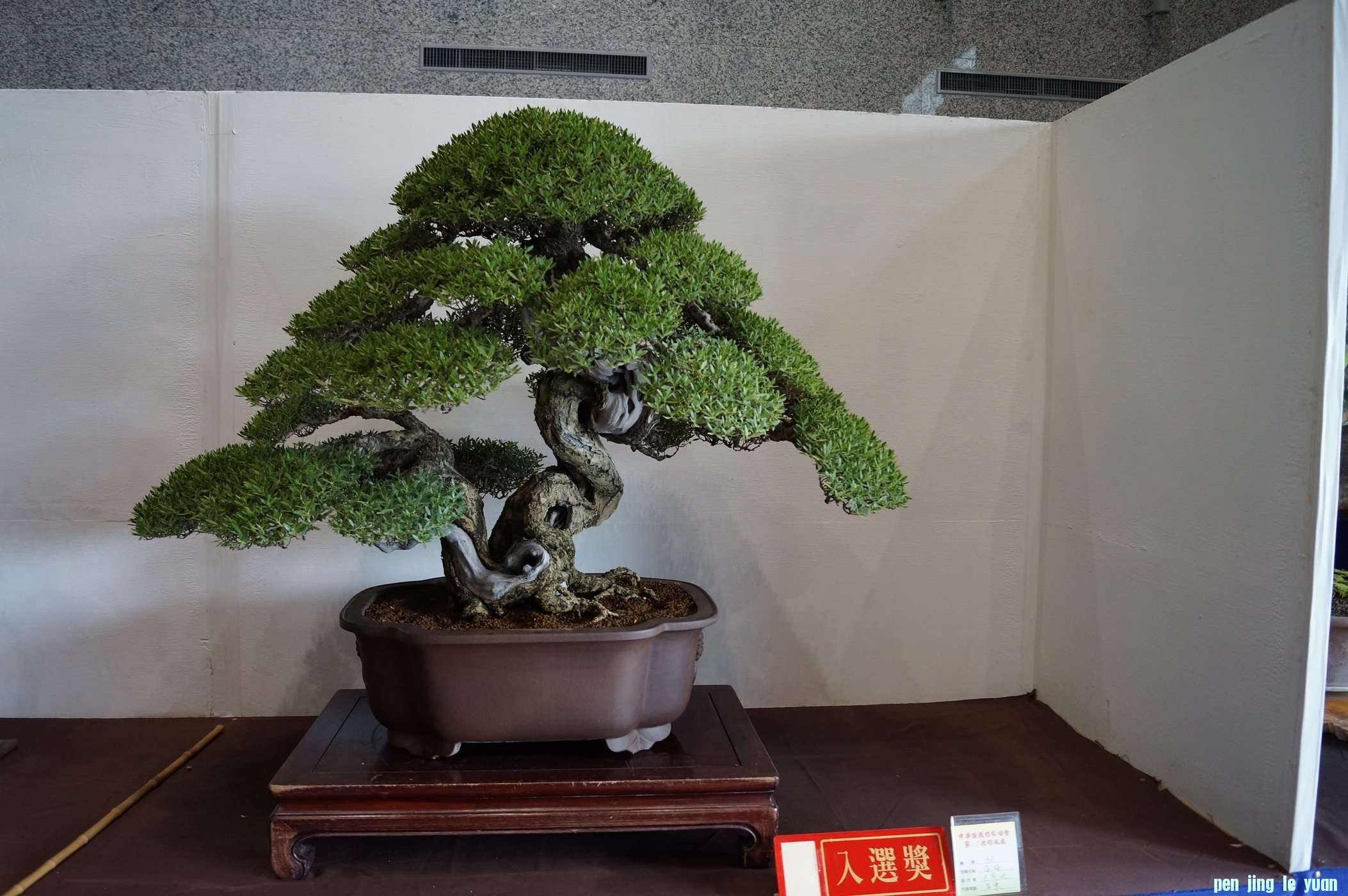 BXy6Th83JGJhoKaDWudSqw.jpg