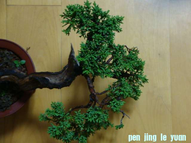 DSC00845.JPG
