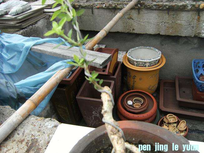 DSCF3838.JPG