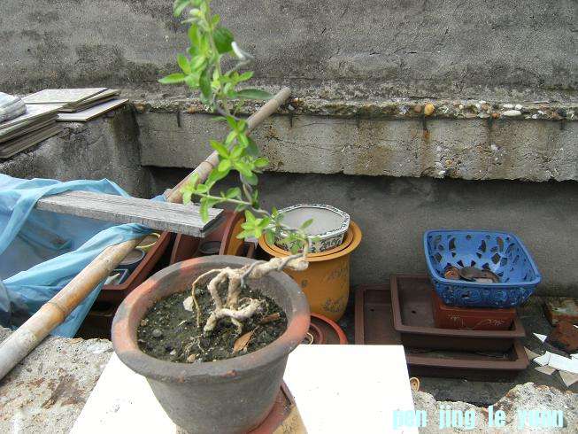 DSCF3843.JPG