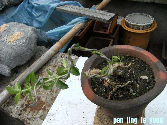 DSCF3858.JPG
