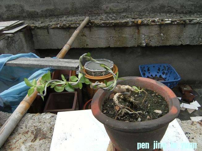 DSCF3860.JPG