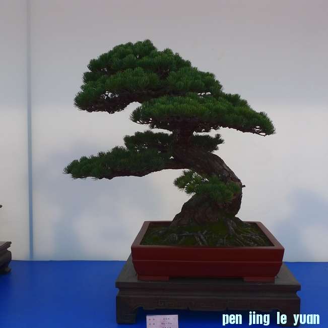 P1010249.JPG