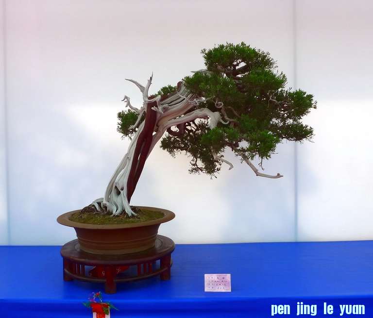 P1010274.JPG