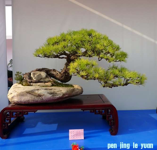 P1010319.JPG