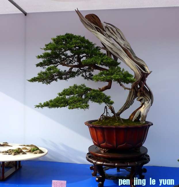 P1010314.JPG