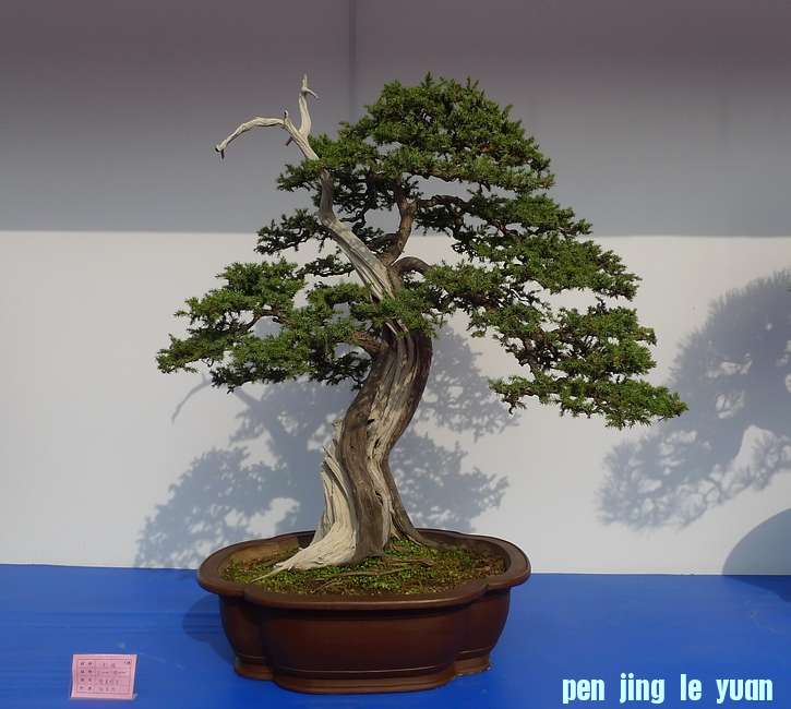 P1010270.JPG