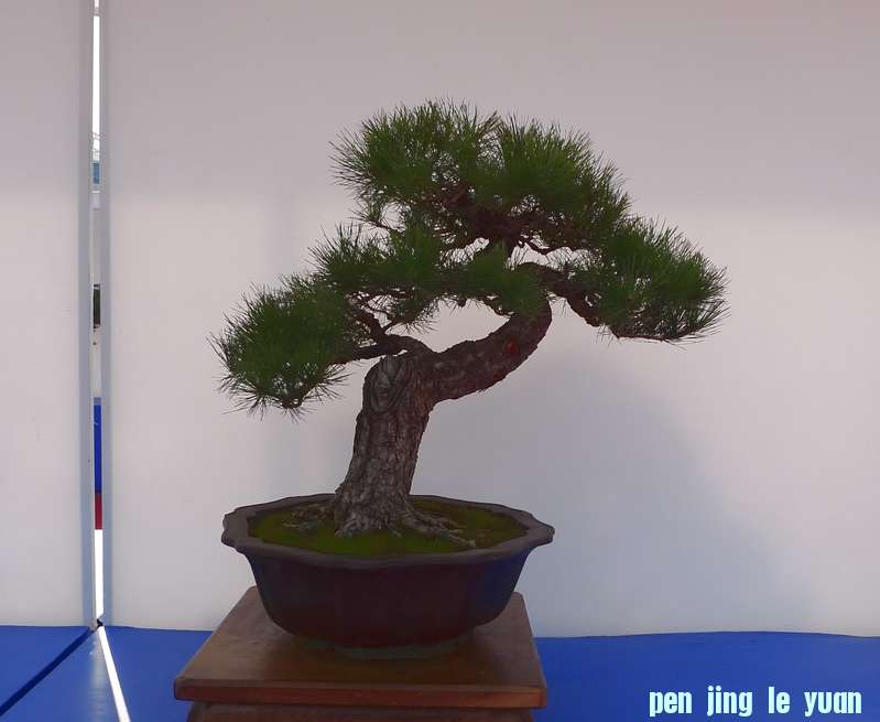 P1010265.JPG