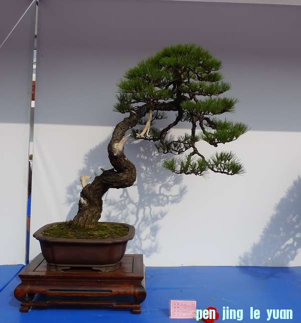 P1010239.JPG